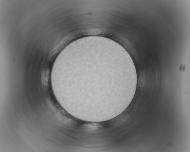 X0000112490118200909281142