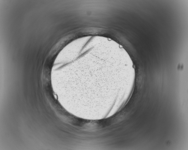 X0000112490119200909281142