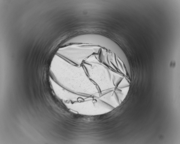 X0000112490120200909281142