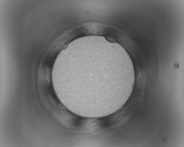 X0000112490121200909281142