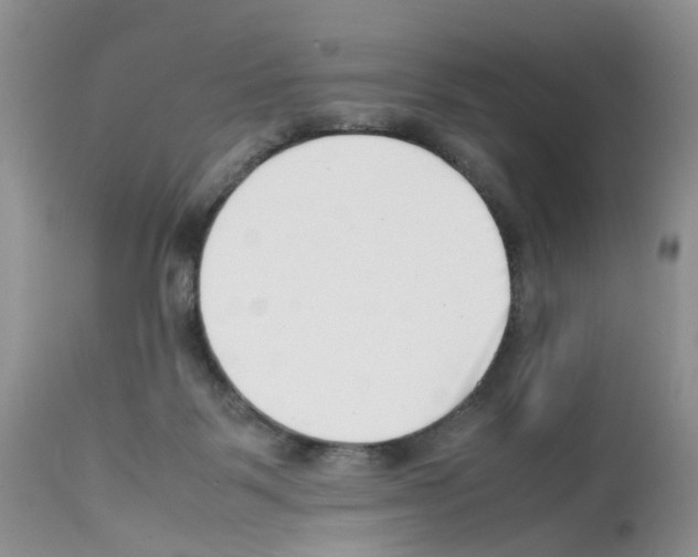 X0000112490123200909281142