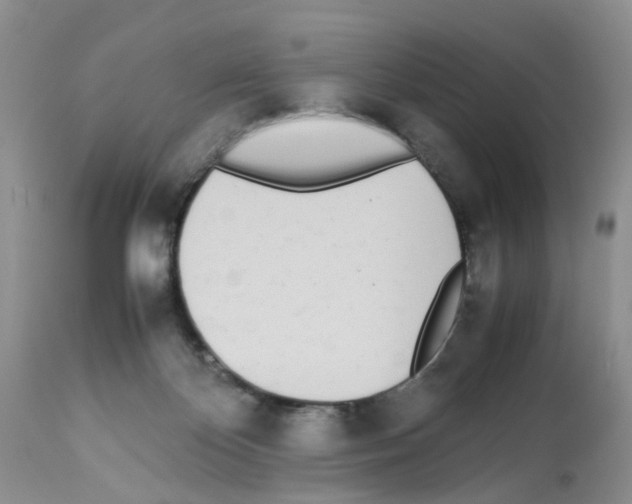 X0000112490124200909281142