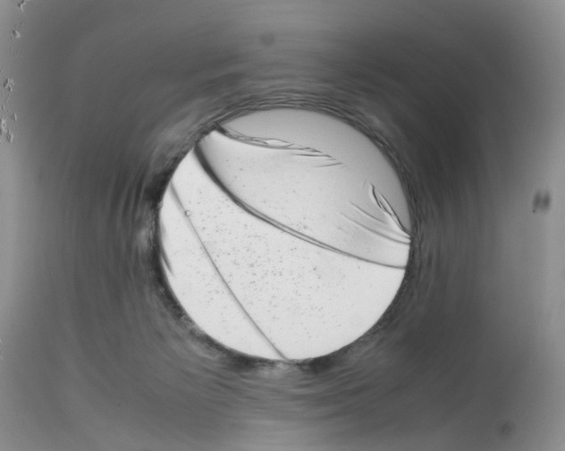 X0000112490125200909281142