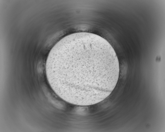 X0000112490126200909281142