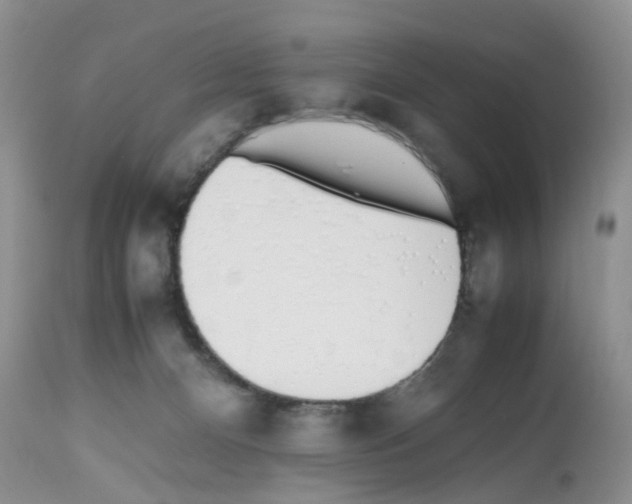 X0000112490128200909281142