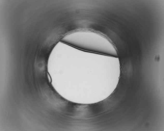 X0000112490132200909281142