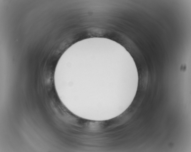 X0000112490134200909281142