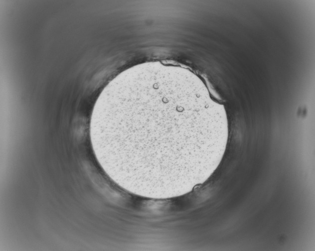 X0000112490135200909281142