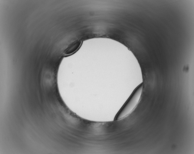 X0000112490136200909281142