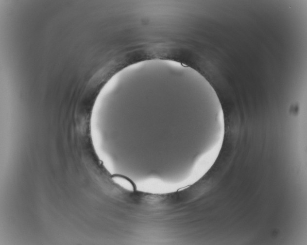 X0000112490139200909281142