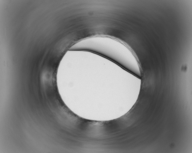 X0000112490140200909281142