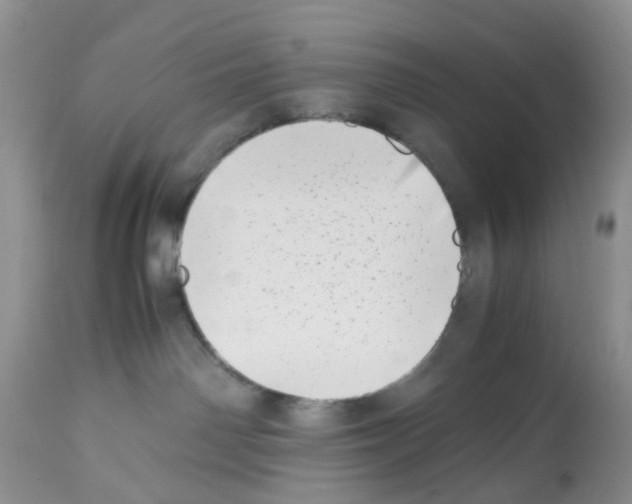 X0000112490142200909281142