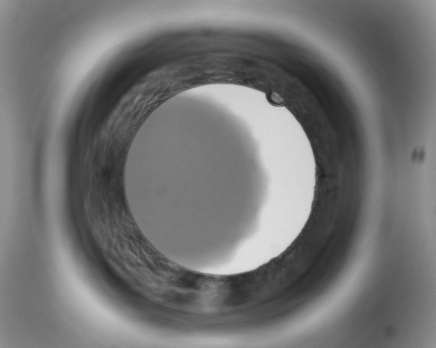 X0000112490143200909281142