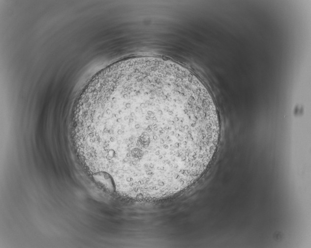 X0000112490145200909281141