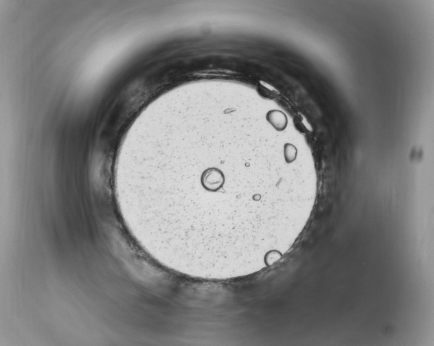 X0000112490146200909281141