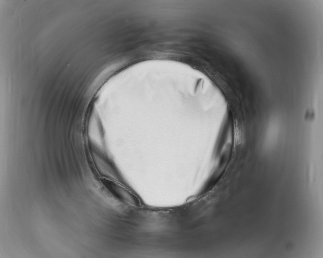 X0000112490147200909281141