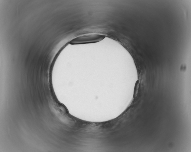 X0000112490148200909281141