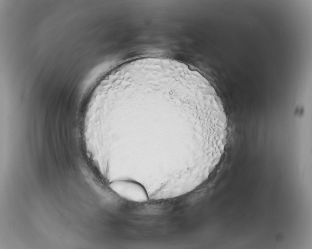 X0000112490149200909281141
