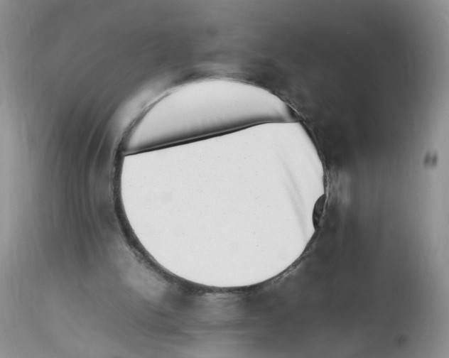 X0000112490150200909281141