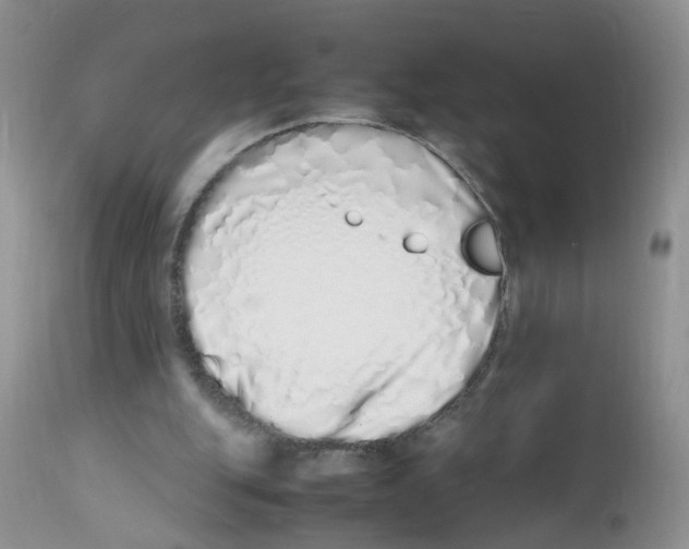 X0000112490151200909281141