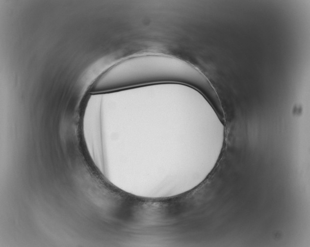 X0000112490152200909281141