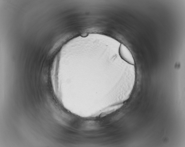X0000112490153200909281141