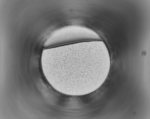 X0000112490154200909281141