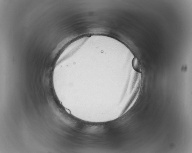 X0000112490155200909281141