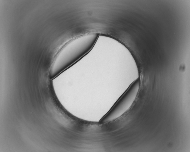 X0000112490156200909281141
