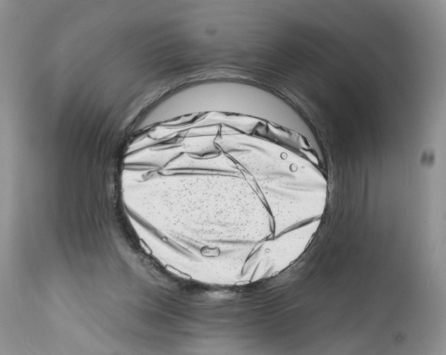 X0000112490158200909281141