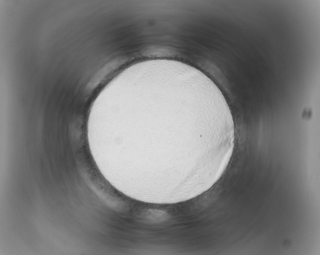 X0000112490159200909281141