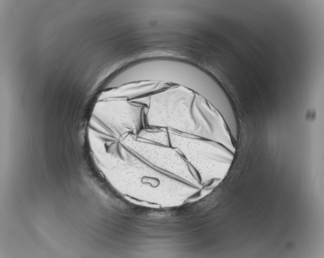 X0000112490160200909281141