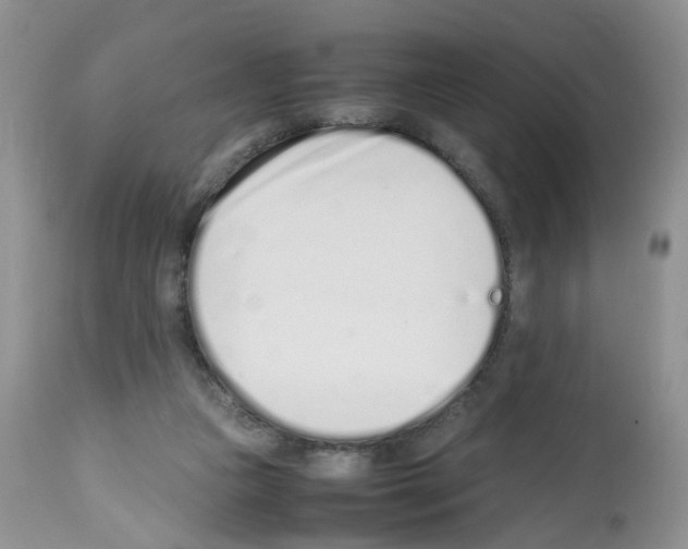 X0000112490161200909281141