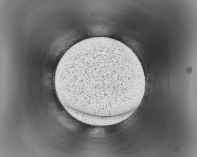 X0000112490162200909281141