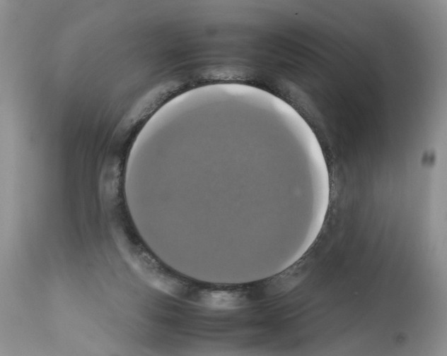 X0000112490163200909281141