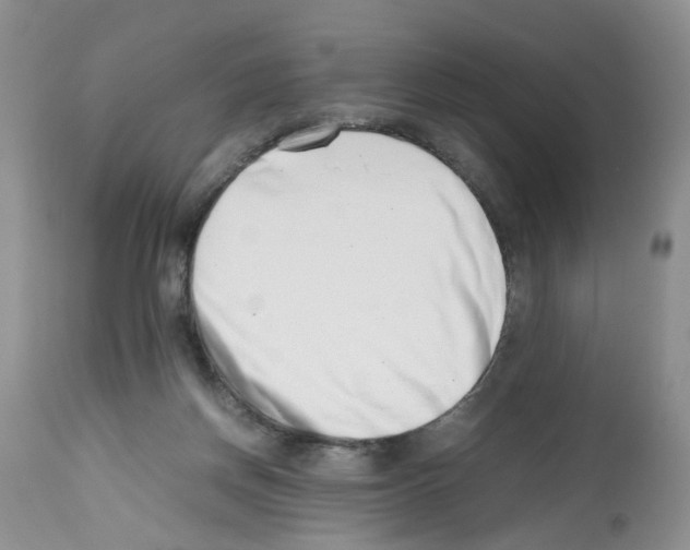 X0000112490166200909281141