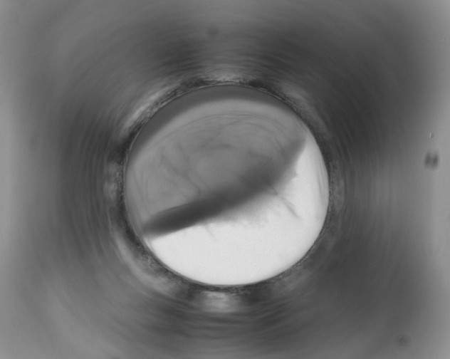 X0000112490167200909281141