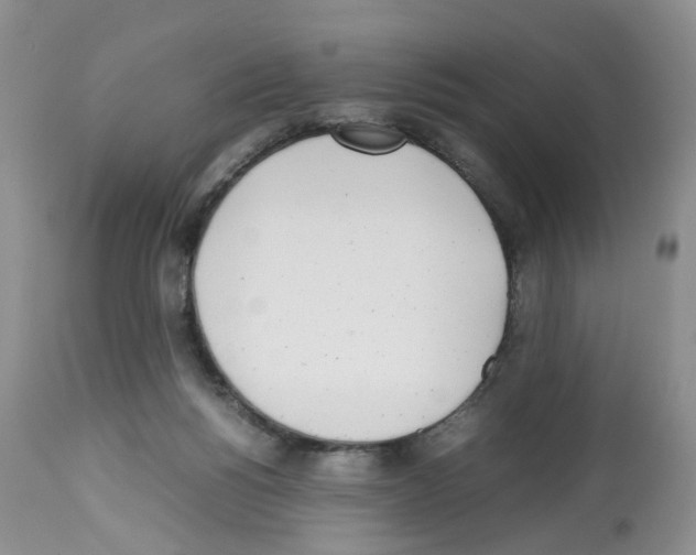 X0000112490168200909281141