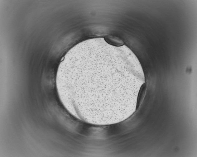 X0000112490170200909281141