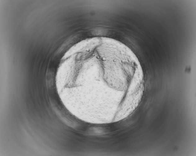 X0000112490171200909281141