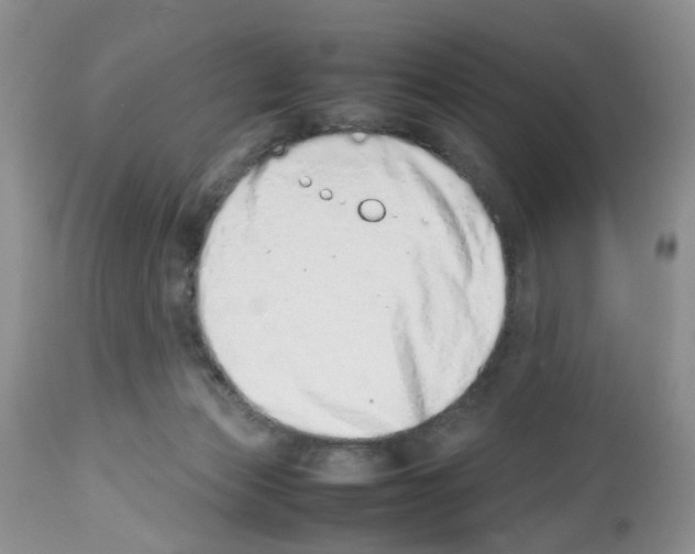 X0000112490173200909281141