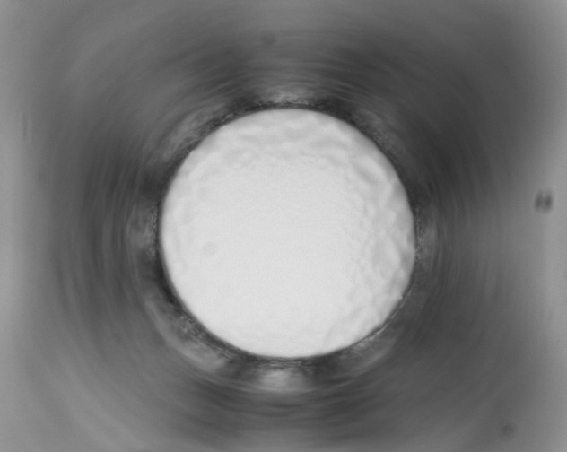 X0000112490175200909281142
