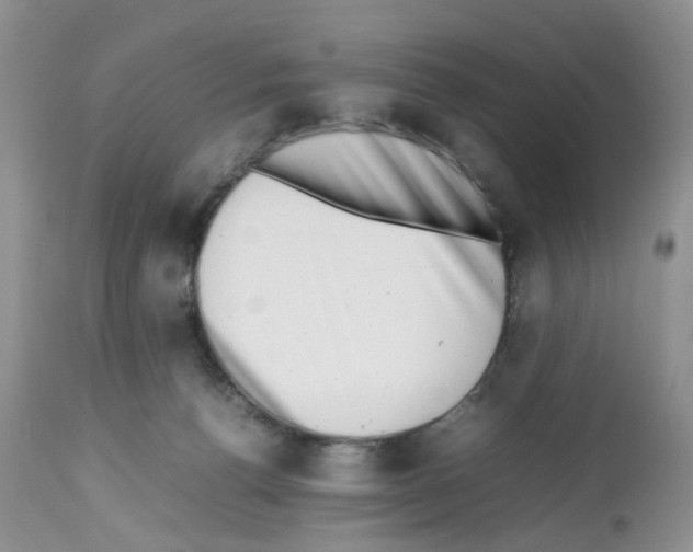 X0000112490176200909281142