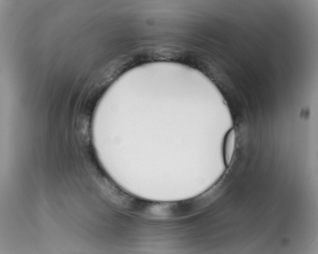 X0000112490178200909281142