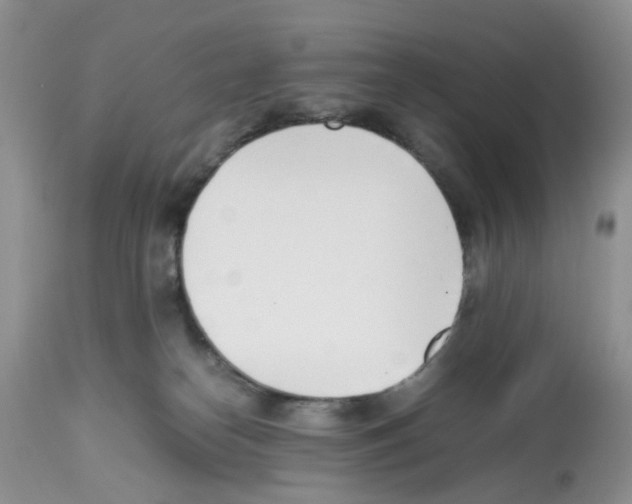 X0000112490182200909281142