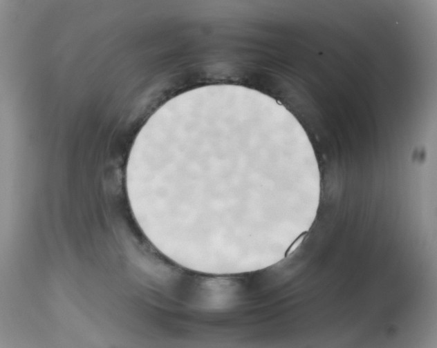 X0000112490183200909281142