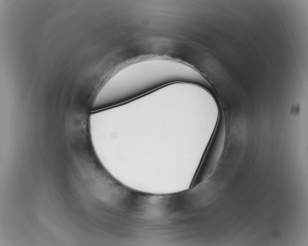 X0000112490184200909281142