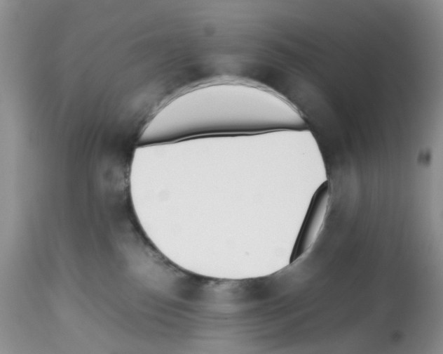 X0000112490186200909281142