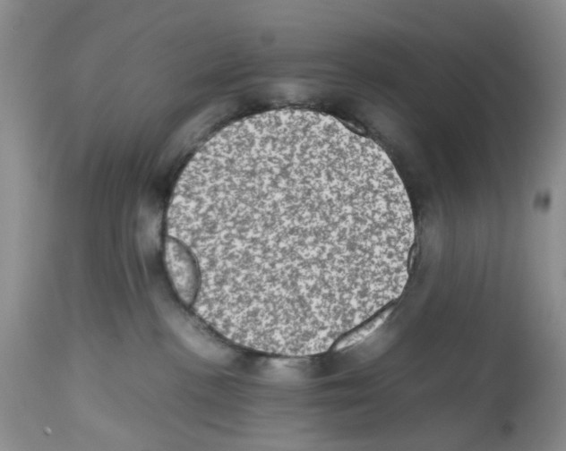 X0000112490188200909281142