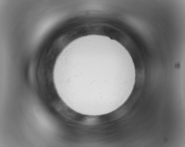 X0000112490189200909281142
